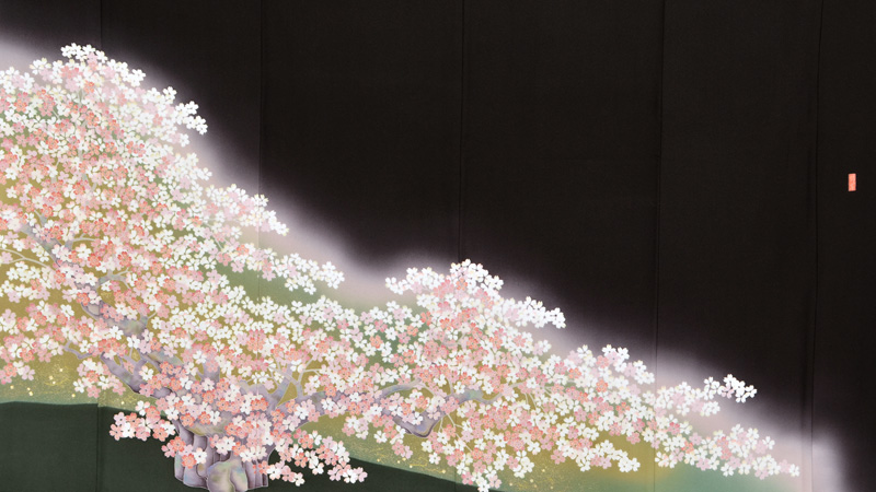 黒留袖〔桜花爛漫〕