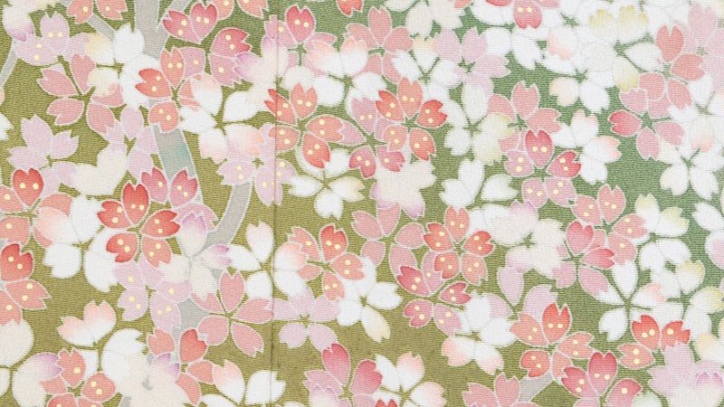 黒留袖〔桜花爛漫〕
